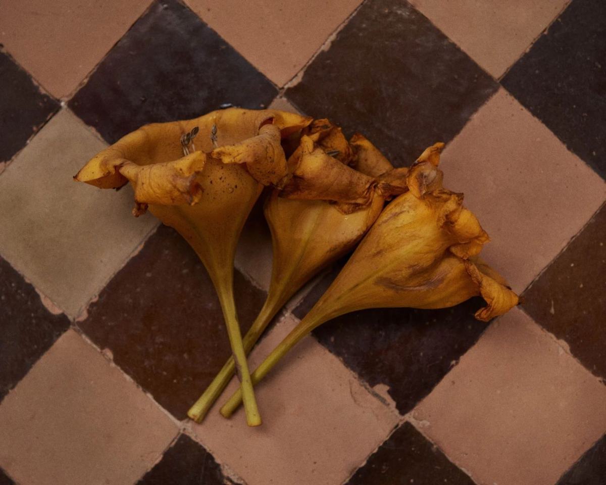 Marrakesh, frame 23