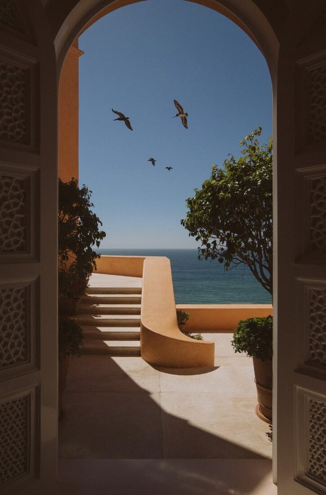 The arch, the birds