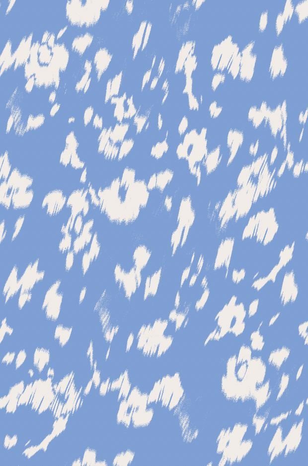 Blues print 054