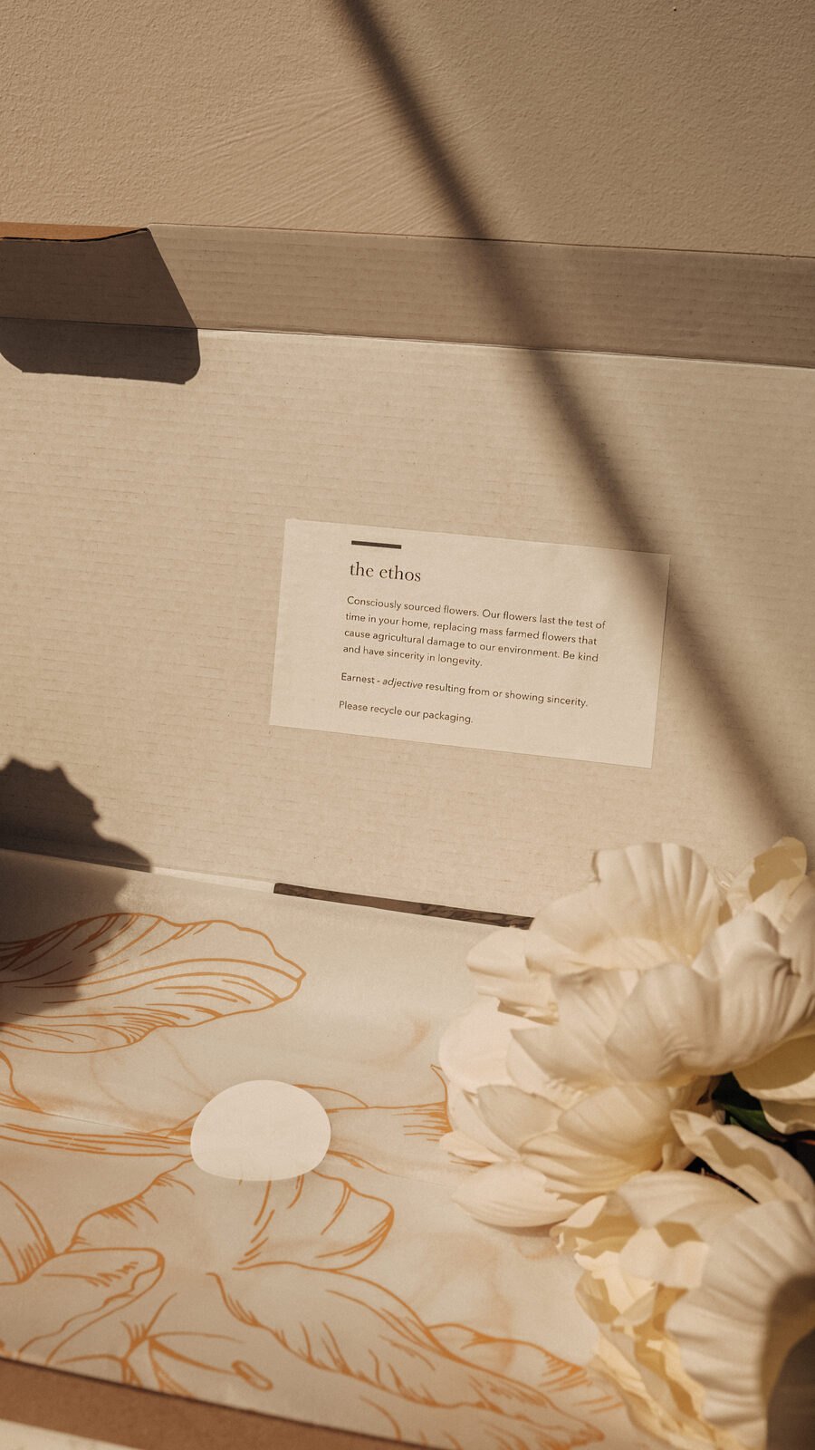 Studio of Earnest box, opened