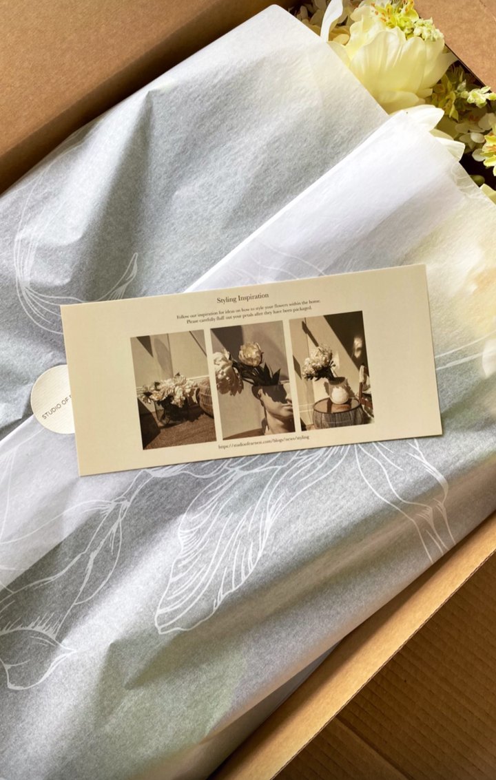 Studio of Earnest packaging, printed tissue and styling card